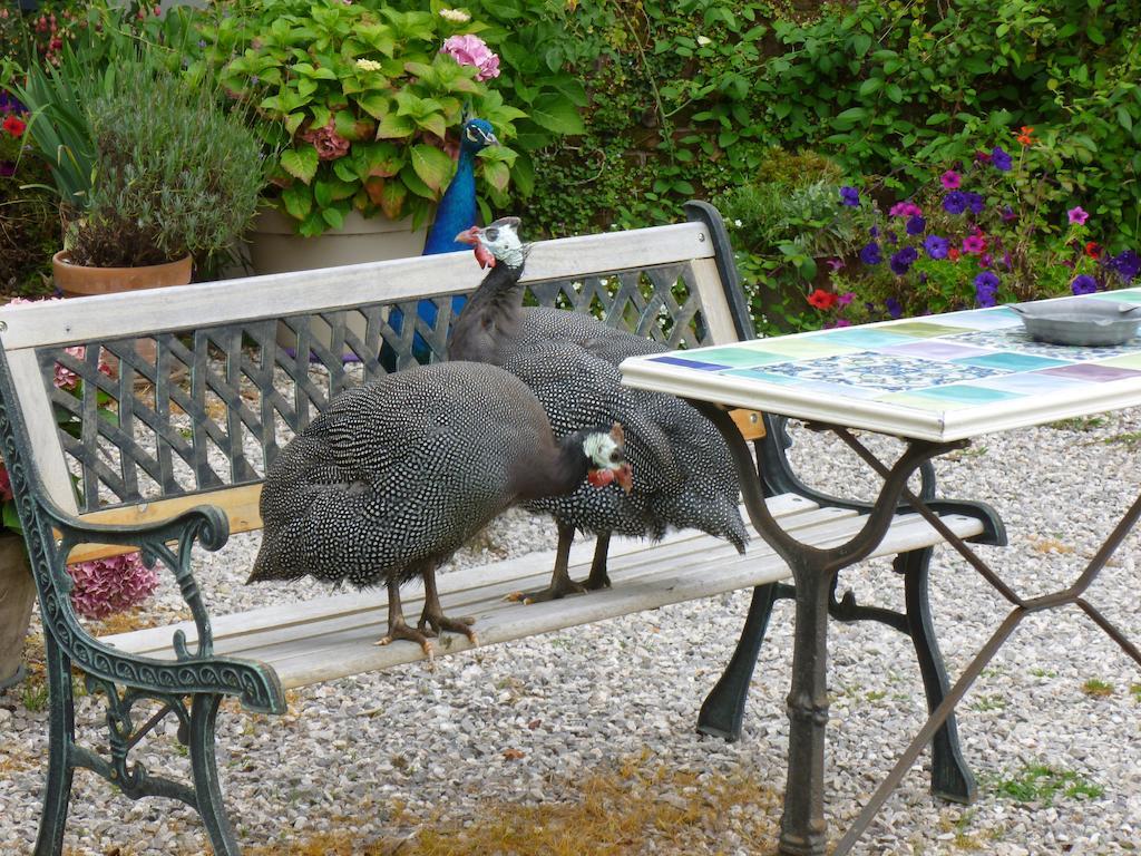Bed and Breakfast Manoir Francis Marles-sur-Canche Exterior foto